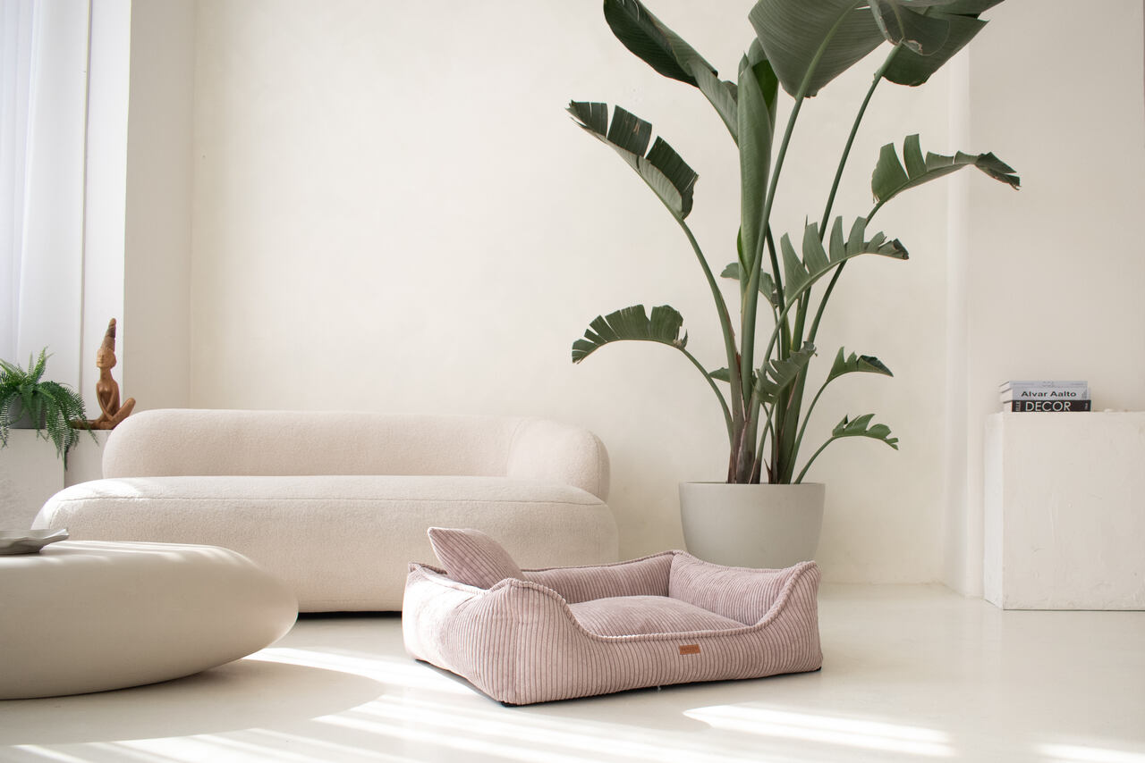 MILANO ROSE