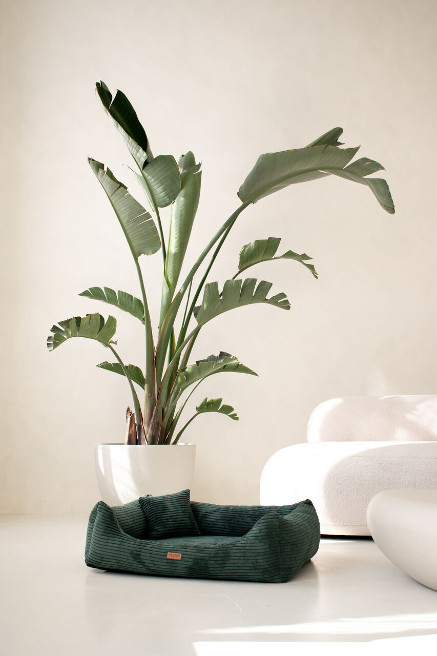 RIMINI BOTTLE GREEN