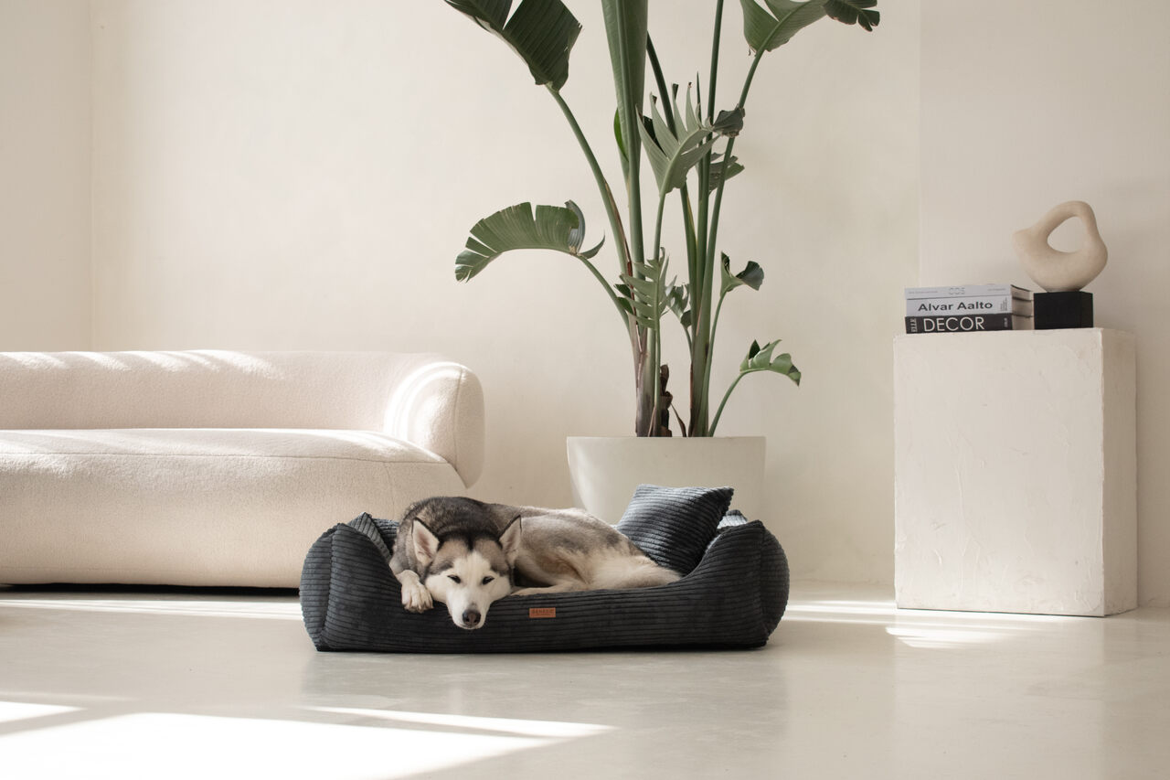 RIMINI DARK GREY